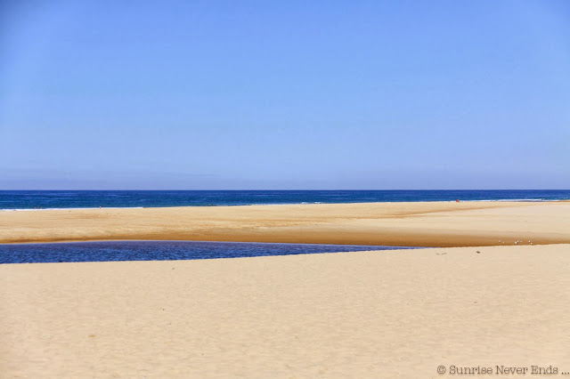 on the road,road trip,landes,moliets,courant du huchet