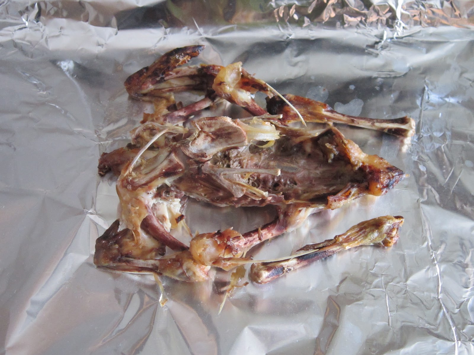 The Tiger Chronicle Funny bones