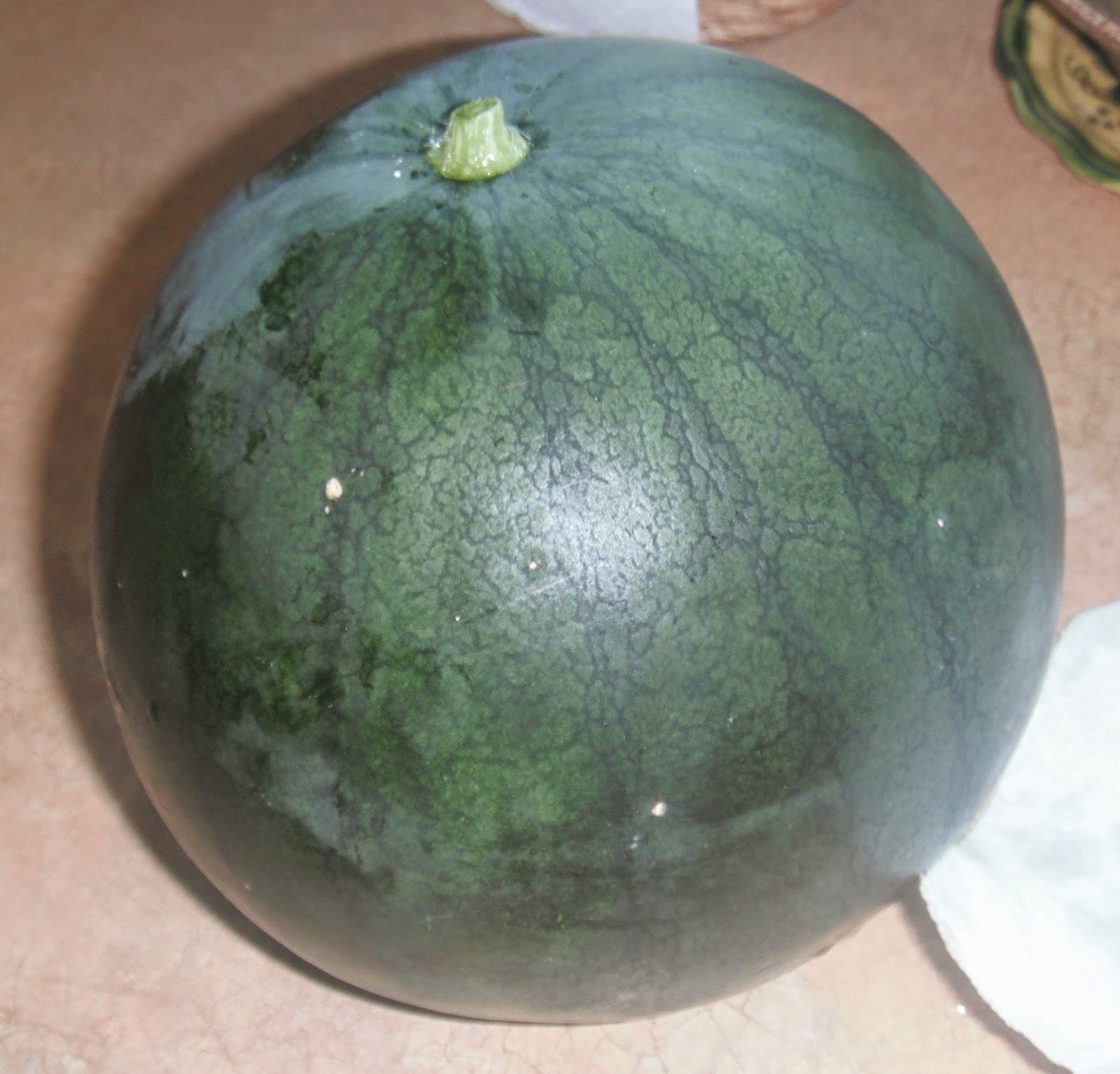 Cantaloupe Ripeness Vs. Rot: Learn The Critical Difference - gbox48u