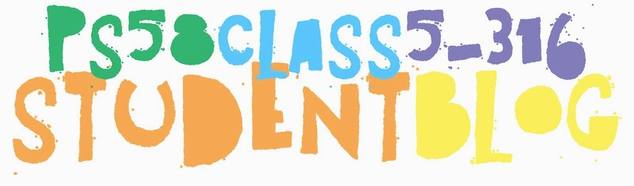 Class 5-316 Student Blog