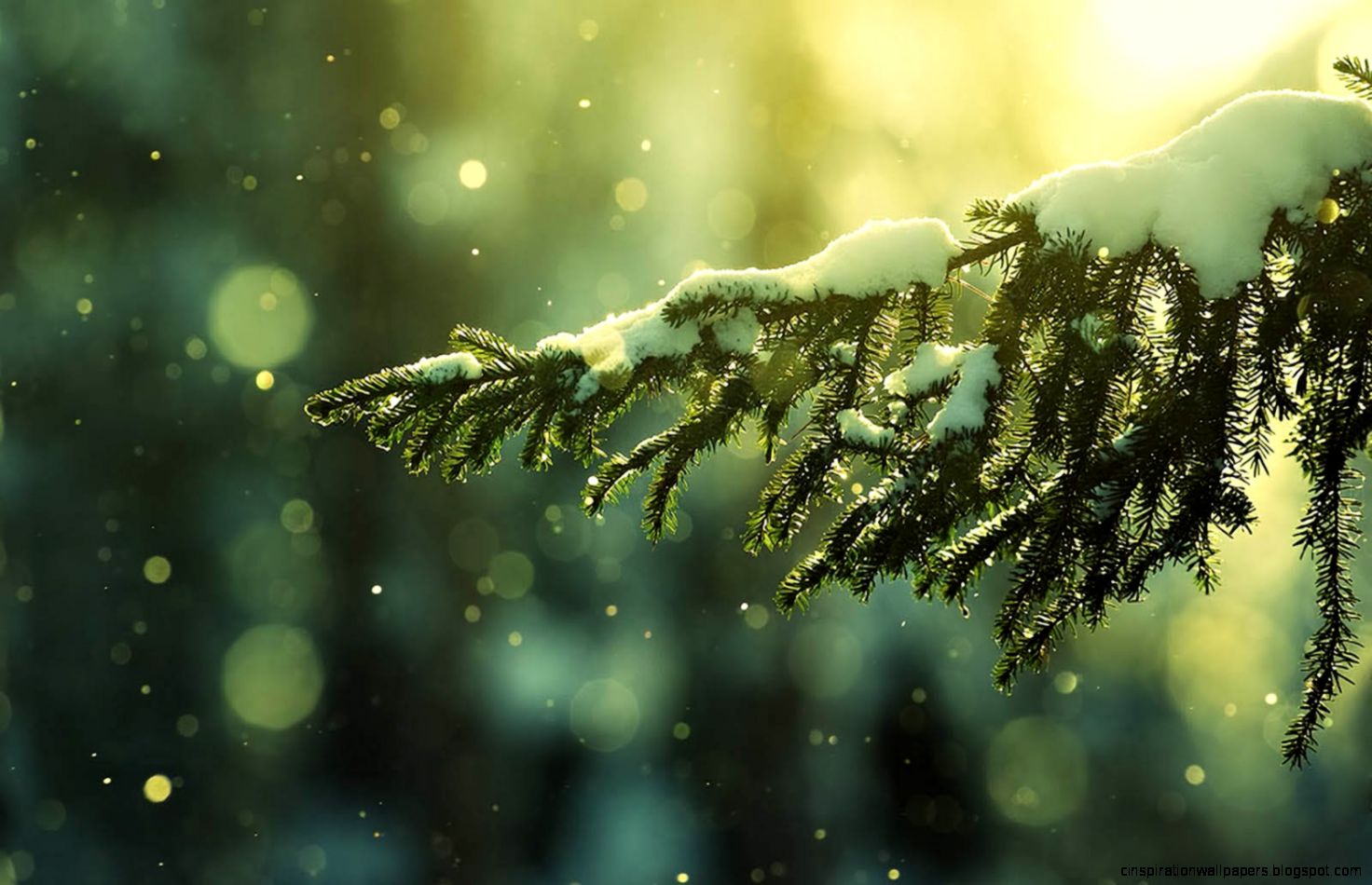 40 Colorful Desktop Backgrounds 40 Colorful Desktop Backgrounds