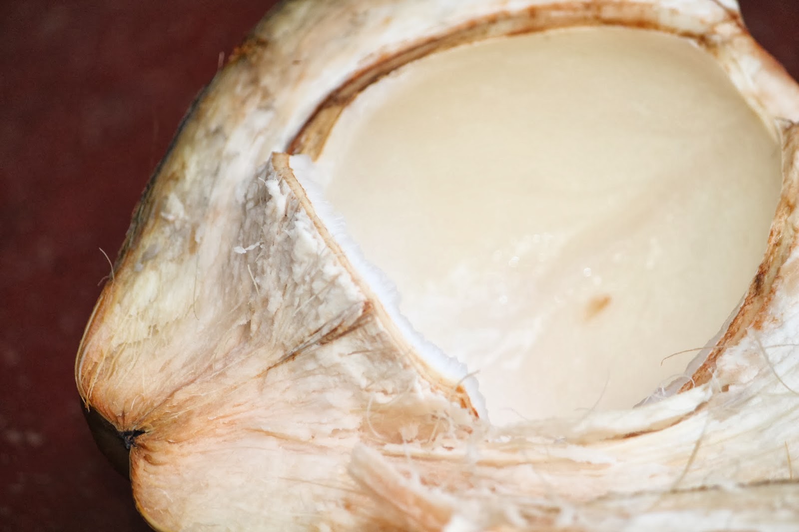 My Passion for cooking Tender coconut Kernel Payasa