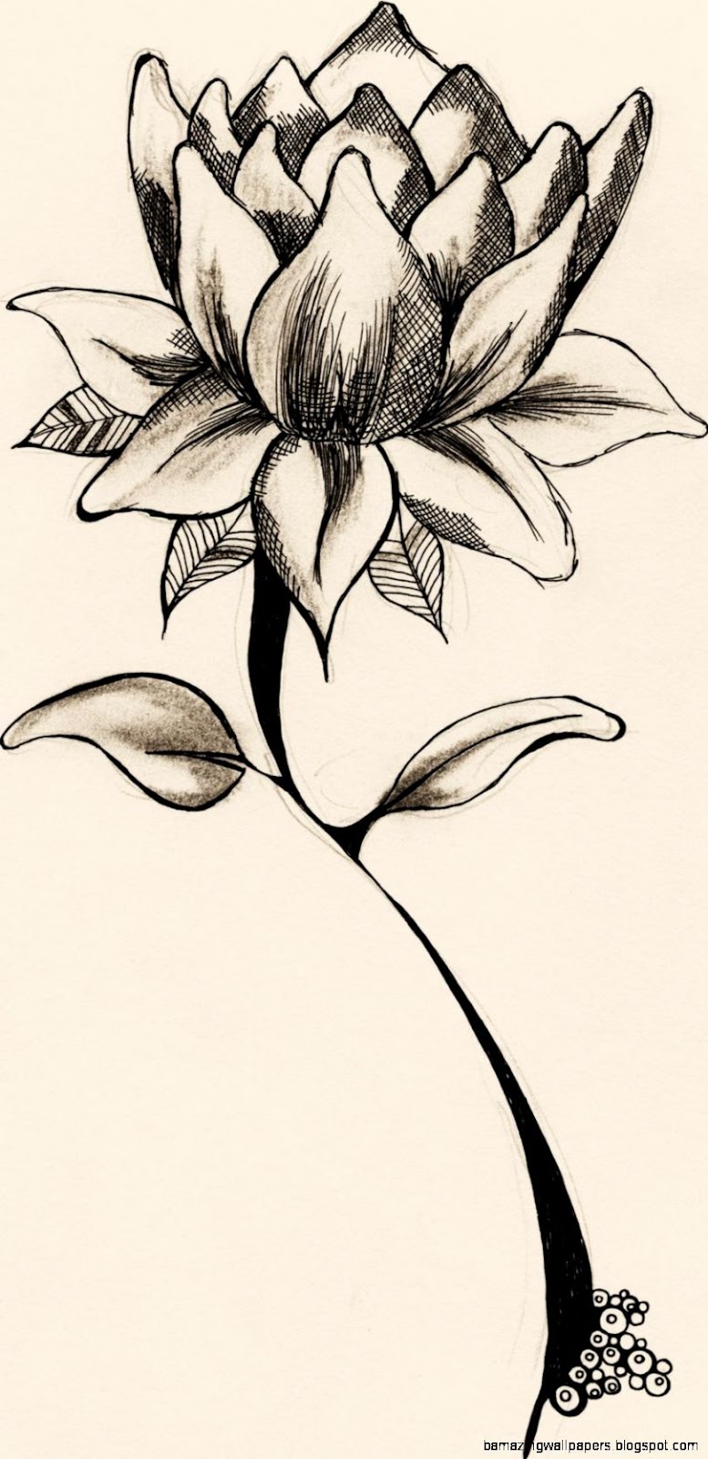 Cute Flower Cute Flower