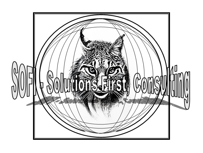 SOFI - SOLUTIONS FIRST