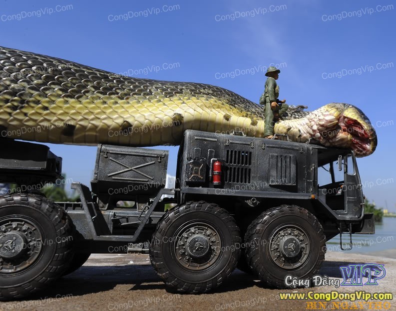 largest anaconda ever killed
