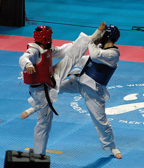 UNNFTKD Taekwondo Os chutes e socos poderosos associados ao esporte