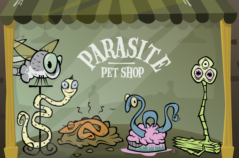 Les graines de courge lhuile de ricin des parasites