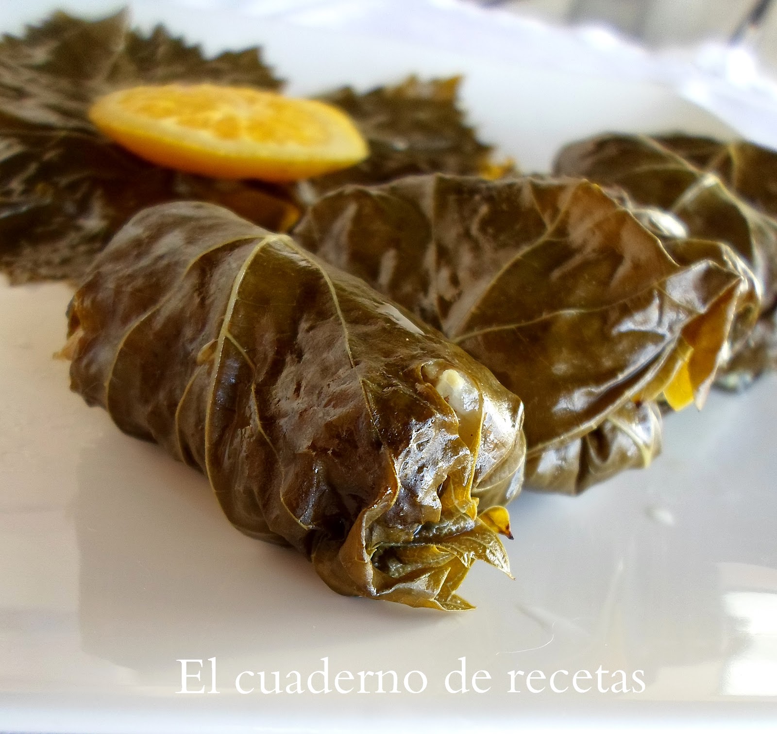 El cuaderno de recetas Dolmas { Hojas de Parra Rellenas }
