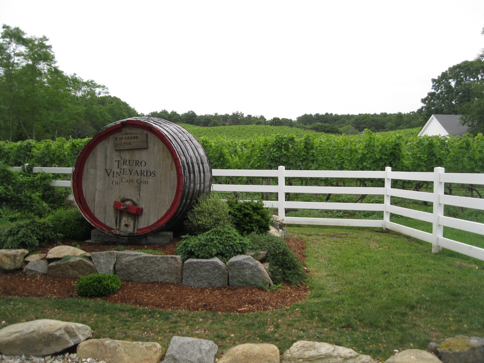 Pandora's Box Truro Vineyards, Cape Cod