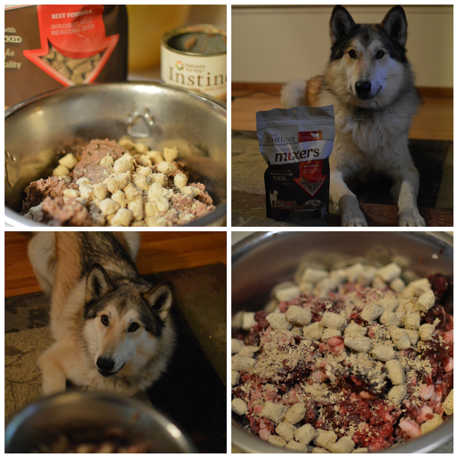 My Rotten Dogs Some Raw is Better Than No Raw mixitup with Instinct