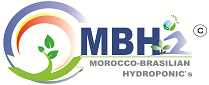 Morocco Brazilian Hydroponics