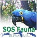 SOS Fauna