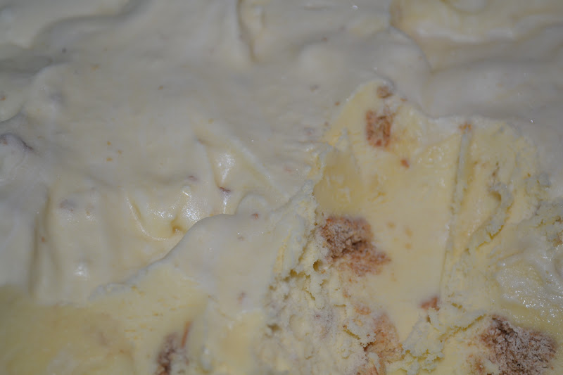 Homemade Dutch Apple Pie Sea Salt Caramel Cheesecake Ice Cream