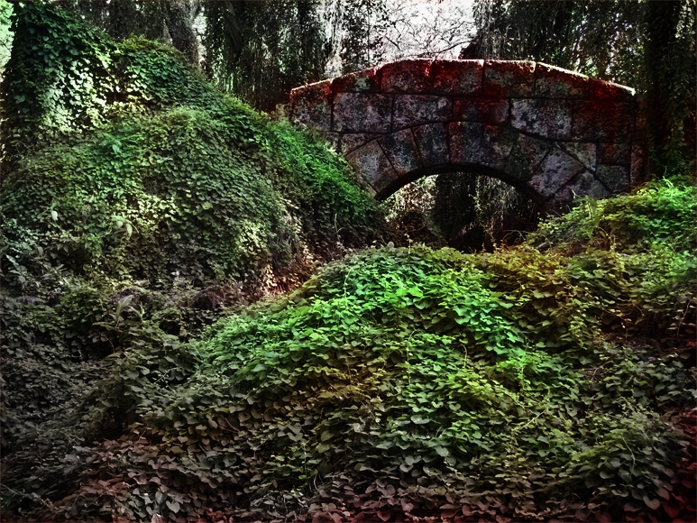 Jacqueline Zerquera El bosque habitado. Ruinas.