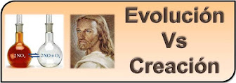 ¿Nos creó Dios o evolucionamos por casualidad?