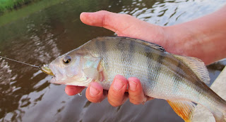 Рыбалка на реке лух ивановская область