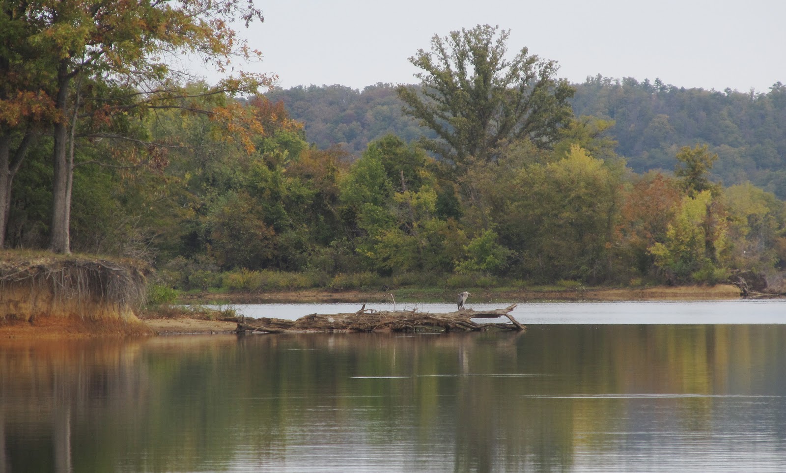 Log of the ELISSA II Harmon Creek, Tennessee River to Dry Creek