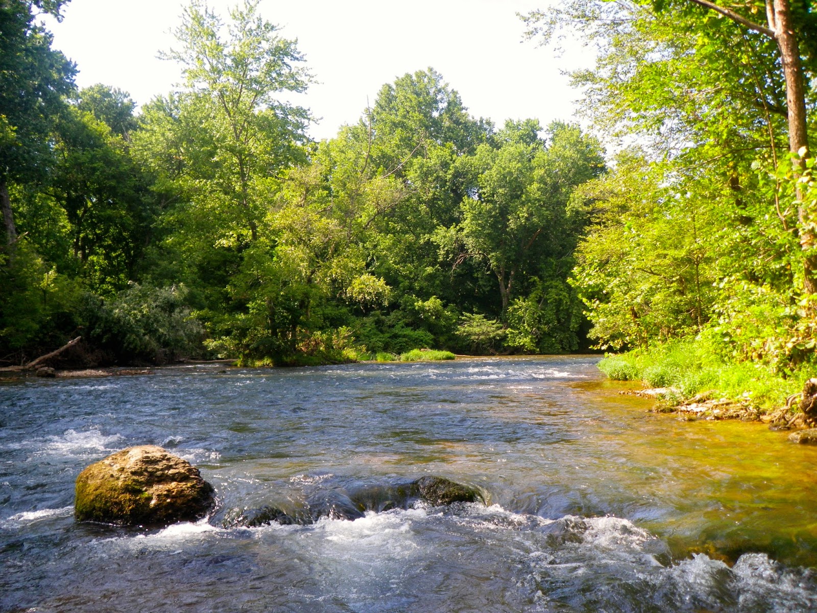 Ozark FlyFishing August Eleven Point River