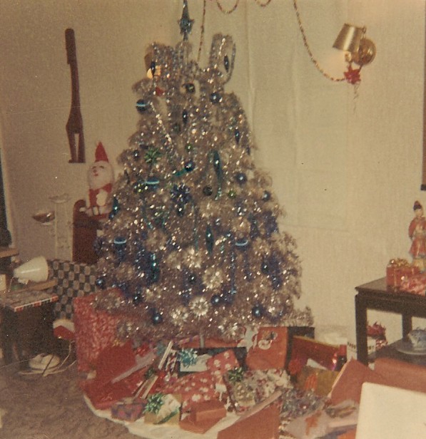 suldog christmas trees past present suldog christmas trees past present