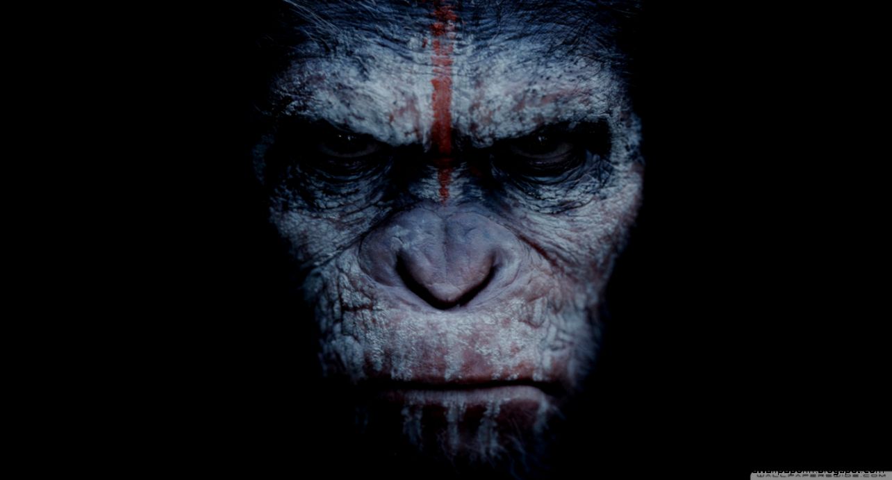 Dawn of the Planet of the Apes 2014 Movie HD desktop wallpaper Dawn of the Planet of the Apes 2014 Movie HD desktop wallpaper