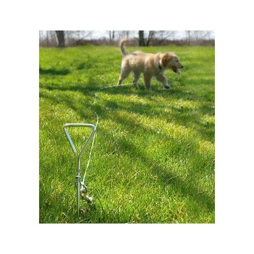 Fad to the Bone Is coiled tie out cable a best or a bust for dogs?