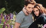 THE TWILIGHT SAGA: BREAKING DAWN PART 2