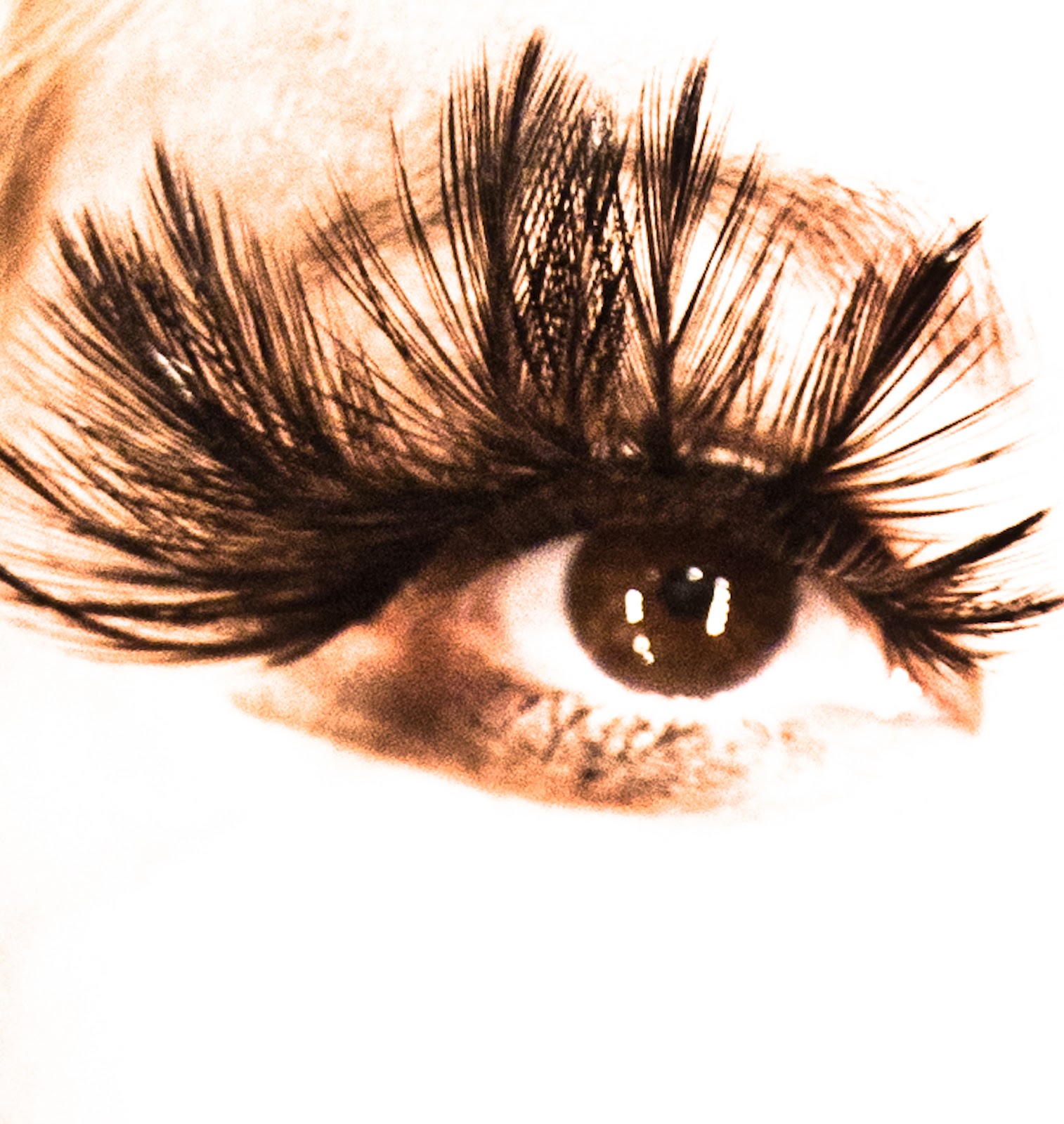 Kinga Sektas Jewellery/Photography and Make up Studio Extra Long