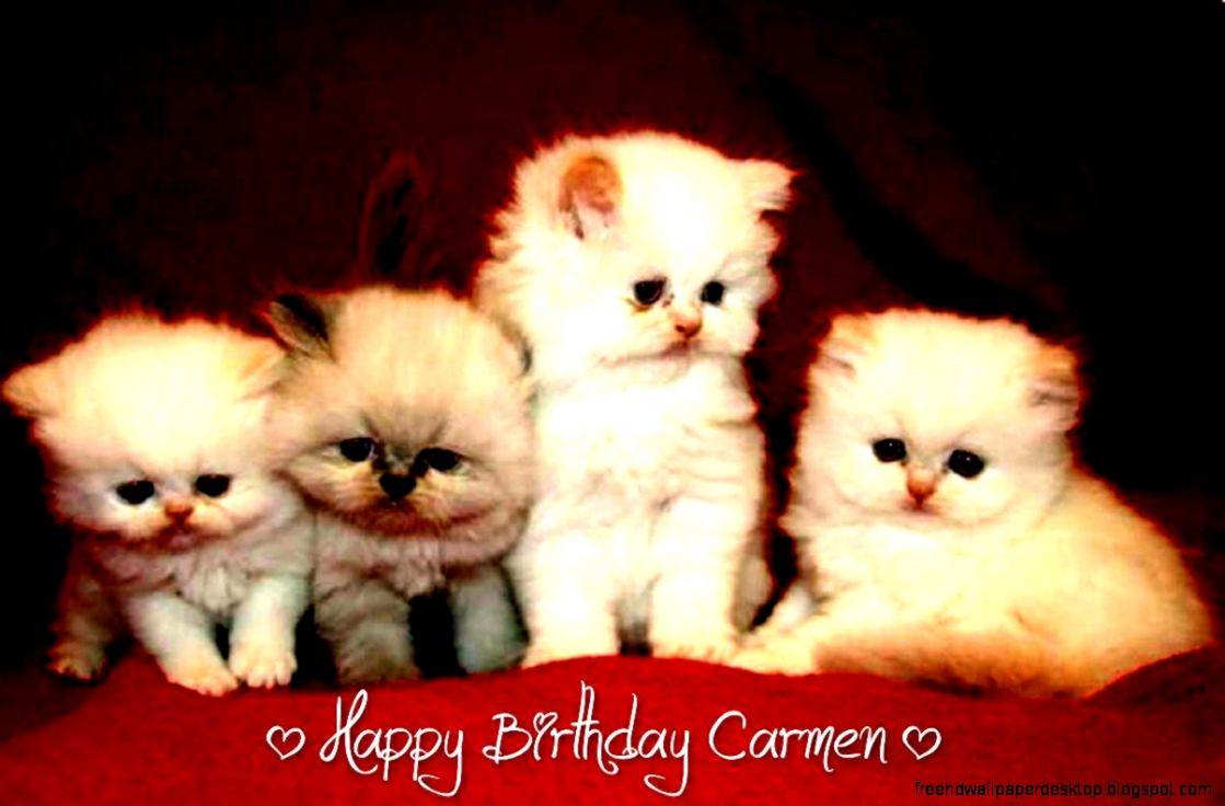 Happy Birthday Friend Cat Happy Birthday Friend Cat