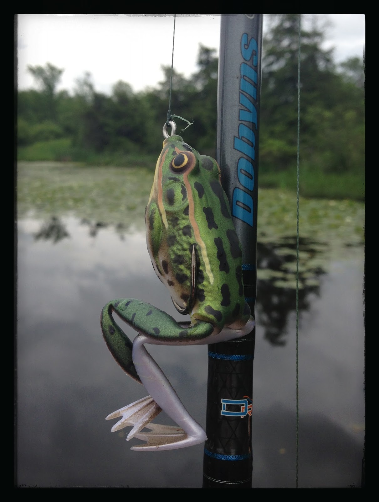 Bass Junkies Frog Pond: Lunker Hunt - Lunker Frog Review