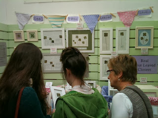 Real Four Leaved Clovers at Country Living Christmas Fair