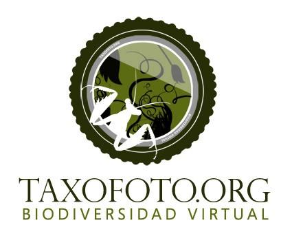 TAXOFOTO