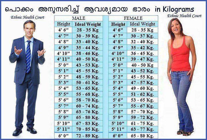 hight chart chart paketsusudomba co hight chart