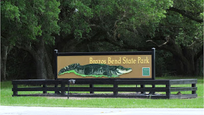 Alligator Nature Preserve: Brazos Bend State Park 