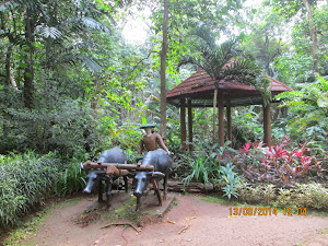 Segregated complex of the "Schmutzer Primate Centre"  inside Ragunan zoo.