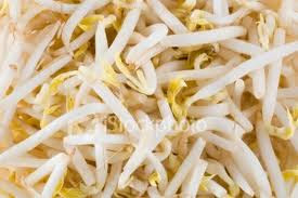 Food for Prevent Hair Loss Food for Prevent Hair Loss