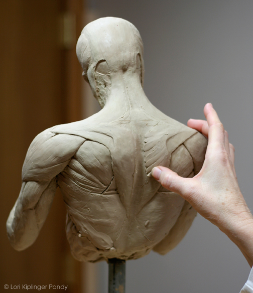 Lori Kiplinger Pandy Sculpture: Ecorche - back muscles