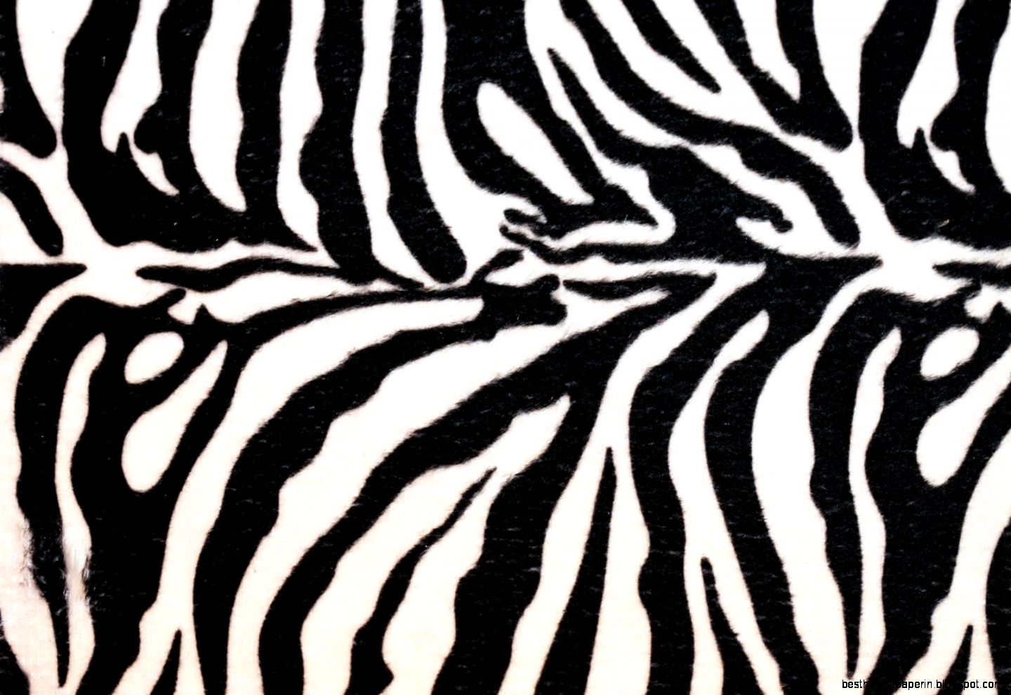 Zebra Print Desktop Zebra Print Desktop