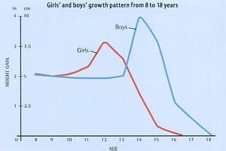boys puberty chart