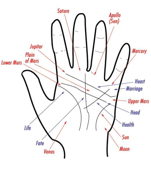 Palm Line Reading Chart