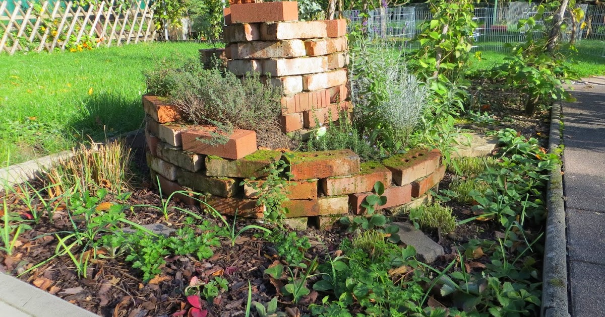 Meine kleine Welt: Gartenstand Ende Oktober '13