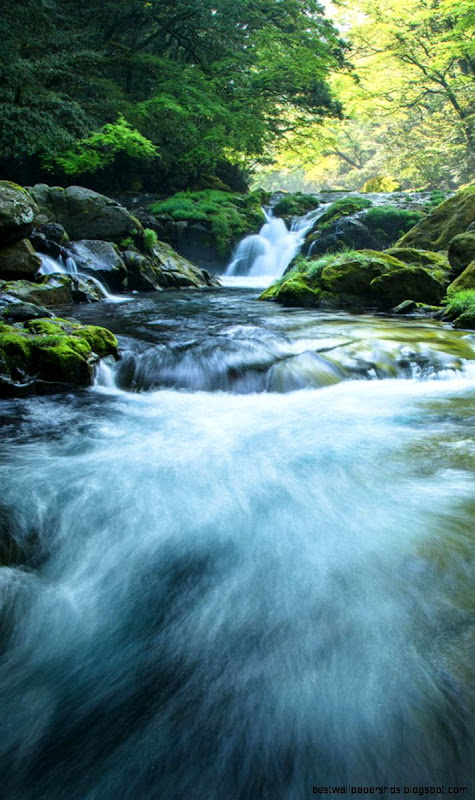 Nature iPhone 6 Wallpapers HD Nature iPhone 6 Wallpapers HD