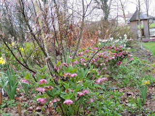 printemps au jardin