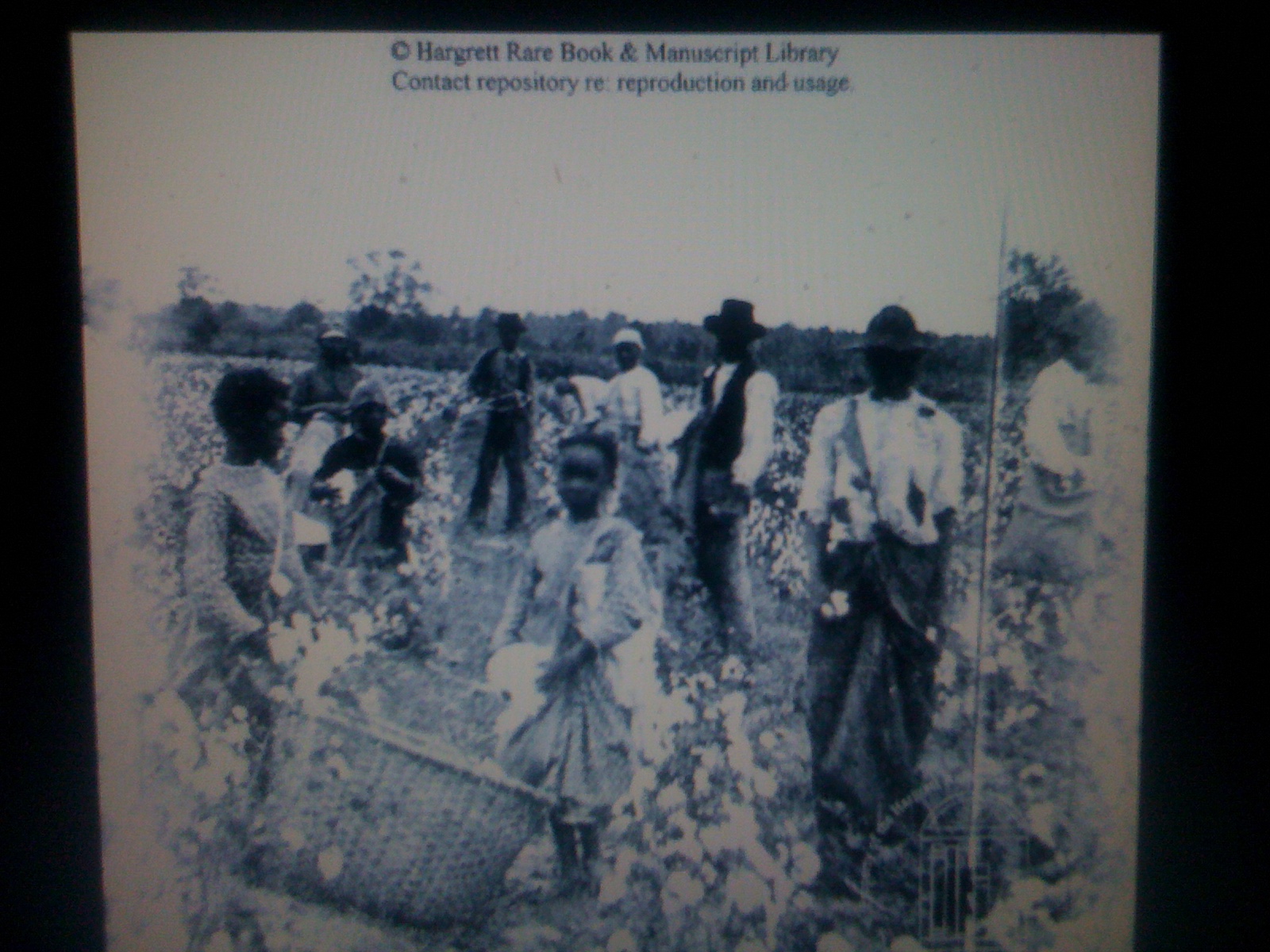 THE BLACK SOCIAL HISTORY BLACK SOCIAL HISTORY SLAVERY IN ALABAMA