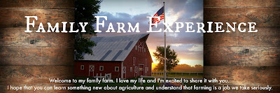 Family Farm Experience