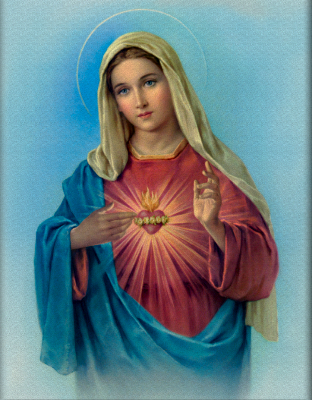 Infallible Catholic: The Blessed Virgin Mary - The New Ark of the Covenant