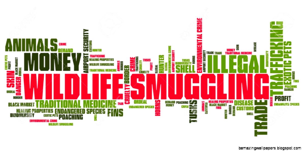 Wildlife Smuggling Environmental Crime Issues And Concepts Wildlife Smuggling Environmental Crime Issues And Concepts