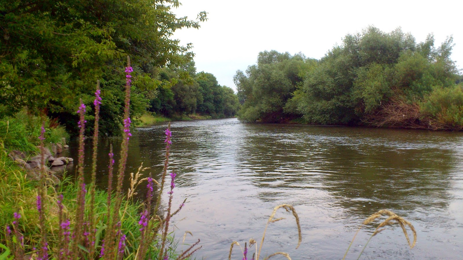 Вложенный файл: