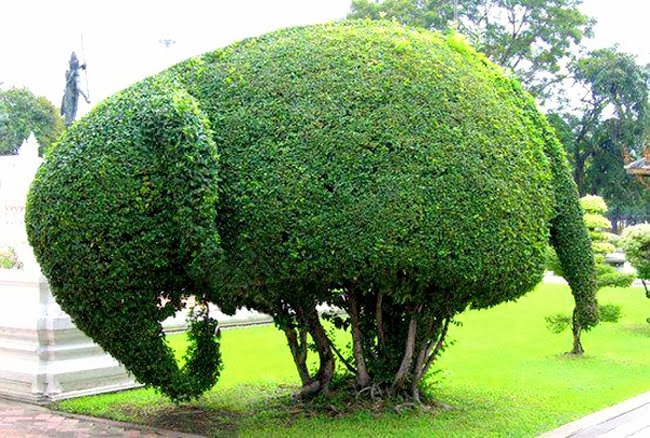 Kreativiti seni gubahan pokok hiasan - Relaks Minda