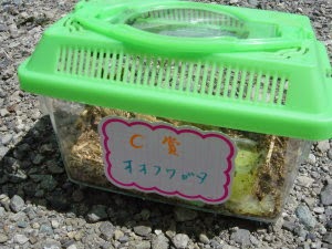 070812-4.jpg