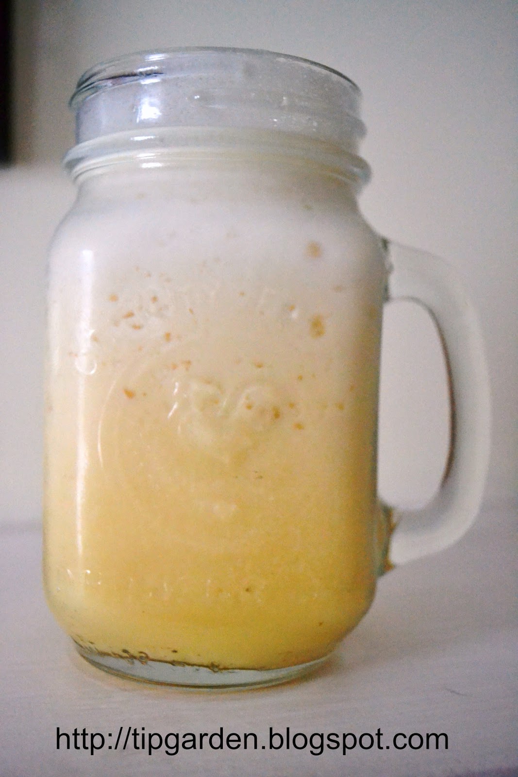 TIP GARDEN Classic Orange Julius